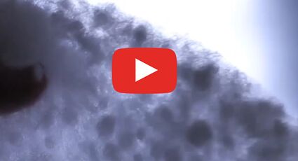 Comfortemp. Fiberballs. Воздухопроницаемость.