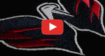 Вышивка эмблем ТВилли, Солви филм 80, КК100, БСН